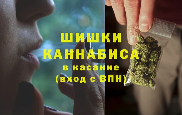 ПСИЛОЦИБИНОВЫЕ ГРИБЫ Абаза