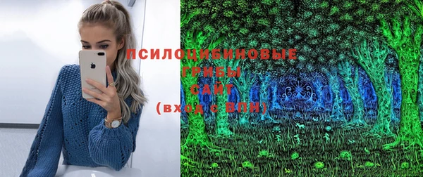 2c-b Майский