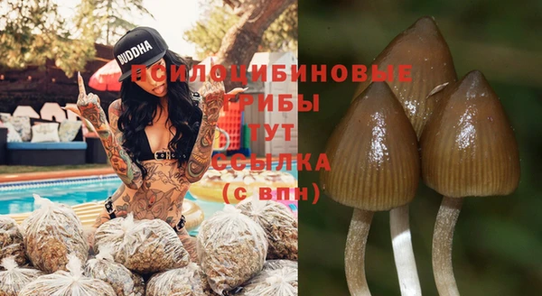 mix Абинск
