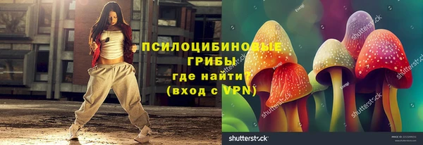 ПСИЛОЦИБИНОВЫЕ ГРИБЫ Абаза